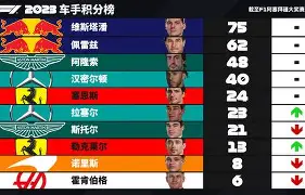 爱体育-华德福联近期遭遇困境,积分榜排名第十九