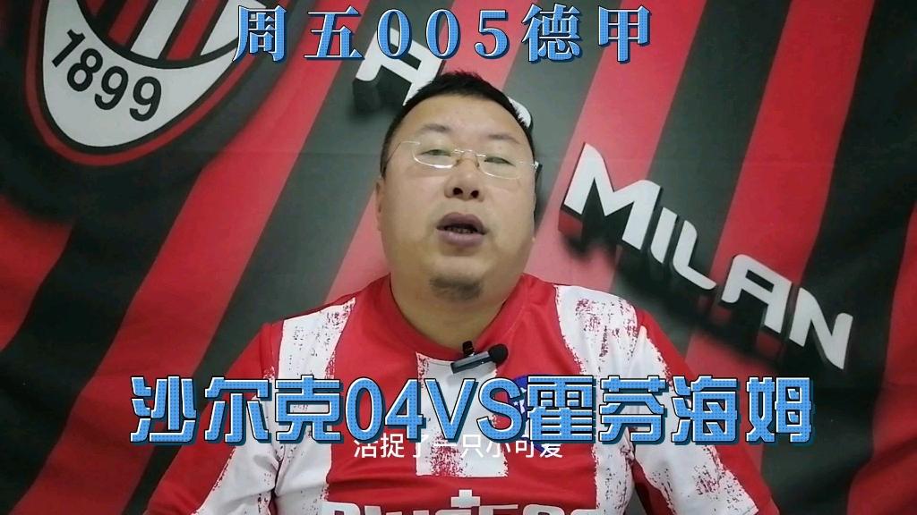 爱体育-独家报道霍芬海姆VS沙尔克,沙尔克战胜对手